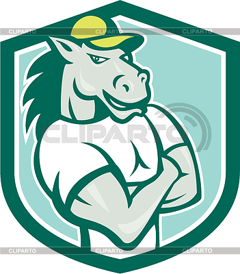 4735685-horse-arms-crossed-shield-cartoon.jpg