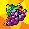 Vector clipart: grapes