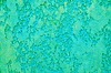 Decorative stucco | Stock Foto