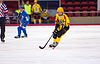 Johan Estblom (4) | Stock Foto