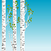 ID 4488014 | Birch trees with green leaves background | Stock Vector Graphics ID 4488014 | Birch trees with green leaves background | Stock Vector Graphics | CLIPARTO
