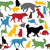 Vector clipart: Seamless background with colorful cats and dogs