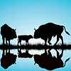 Vector clipart: Bisons family