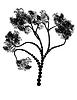 Vector clipart: Stylized Tree Silhouette