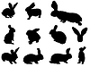 Vector clipart: Bunny