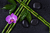 Spa concept with zen stones, orchid flower and | Stock Foto