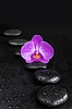 Spa concepto zen con piedras y flores de orquídeas | Foto de stock