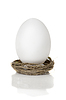 White egg in nest | Stock Foto