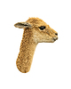 Vicuna Face | Фото