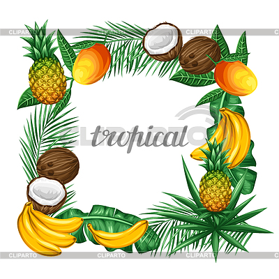 Capítulo con las frutas y las hojas tropicales. Diseñado para | Ilustración vectorial de stock |ID 5694814