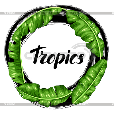 Frame with banana leaves. decorative tropical | Stock Vector Graphics |ID 5851904