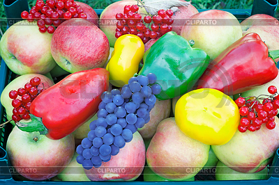 Variedad de frutos grandes maduros y verduras en | Foto de alta resolución |ID 4545494