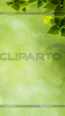 Banner natural abstracto con follaje verde y | Foto de alta resolución |ID 7191576