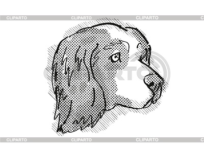 Clumber Spaniel raza de perro de dibujos animados dibujo retro | Ilustración de alta resolución |ID 6912823