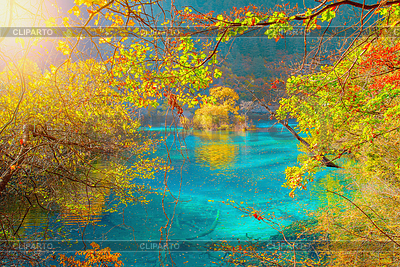 Autumn trees by lake | High resolution stock photo |ID 6365267