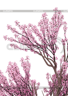 3D Blooming Sakura branches | High resolution stock illustration |ID 7349017