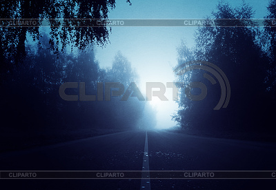 Night foggy forest road | High resolution stock photo |ID 7454708