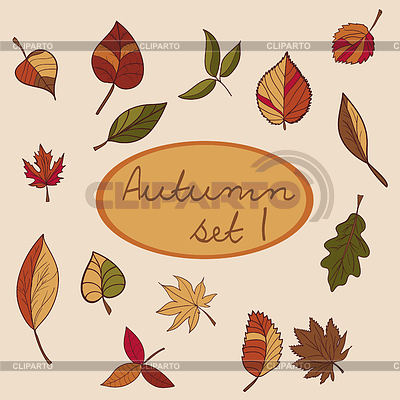 Conjunto de hojas de otoño para su diseño | Ilustración vectorial de stock |ID 4801404