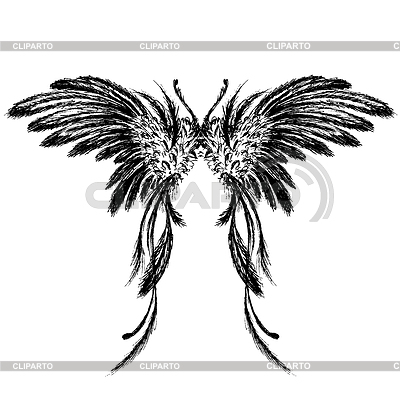 Alas, dibujo a mano | Ilustración vectorial de stock |ID 6620297