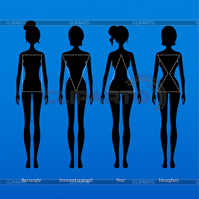 Tipos de cuerpo femenino | Ilustración vectorial de stock |ID 4954483