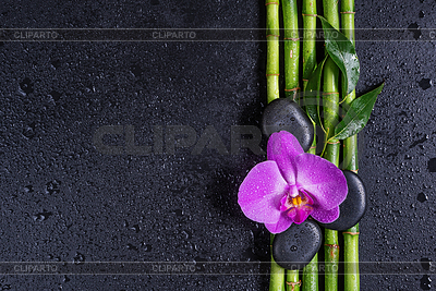 Spa-Konzept mit Zen-Steinen, Orchideenblüte und | Foto mit hoher Auflösung |ID 6268447