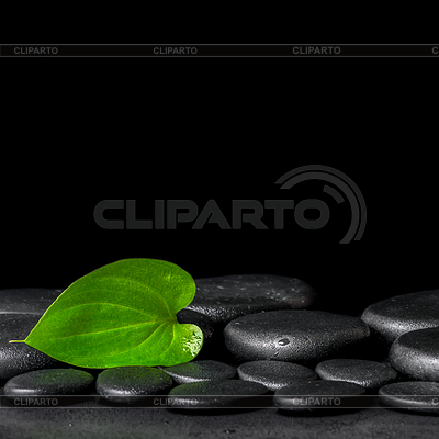 Spa background of zen stones and green leaf | High resolution stock photo |ID 5652383