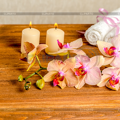 Schöne Spa-Konzept der blühenden Zweig Orchidee | Foto mit hoher Auflösung |ID 5855040