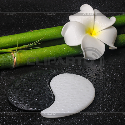 Concepto de spa de flores tropicales frangipani, símbolo | Foto de alta resolución |ID 6112130